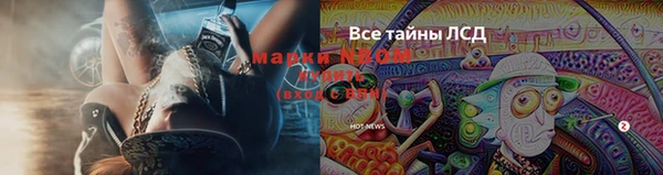 твердый Алексин