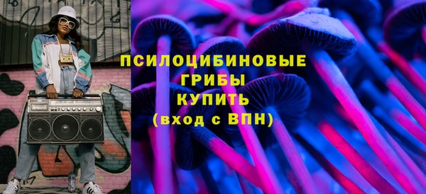 твердый Алексин