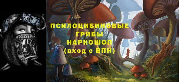 винт Алексеевка