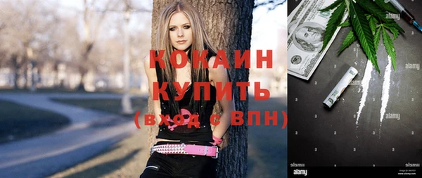 твердый Алексин