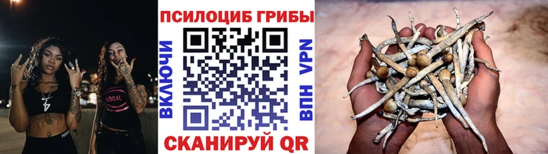 Галлюциногенные грибы Cubensis Миллерово